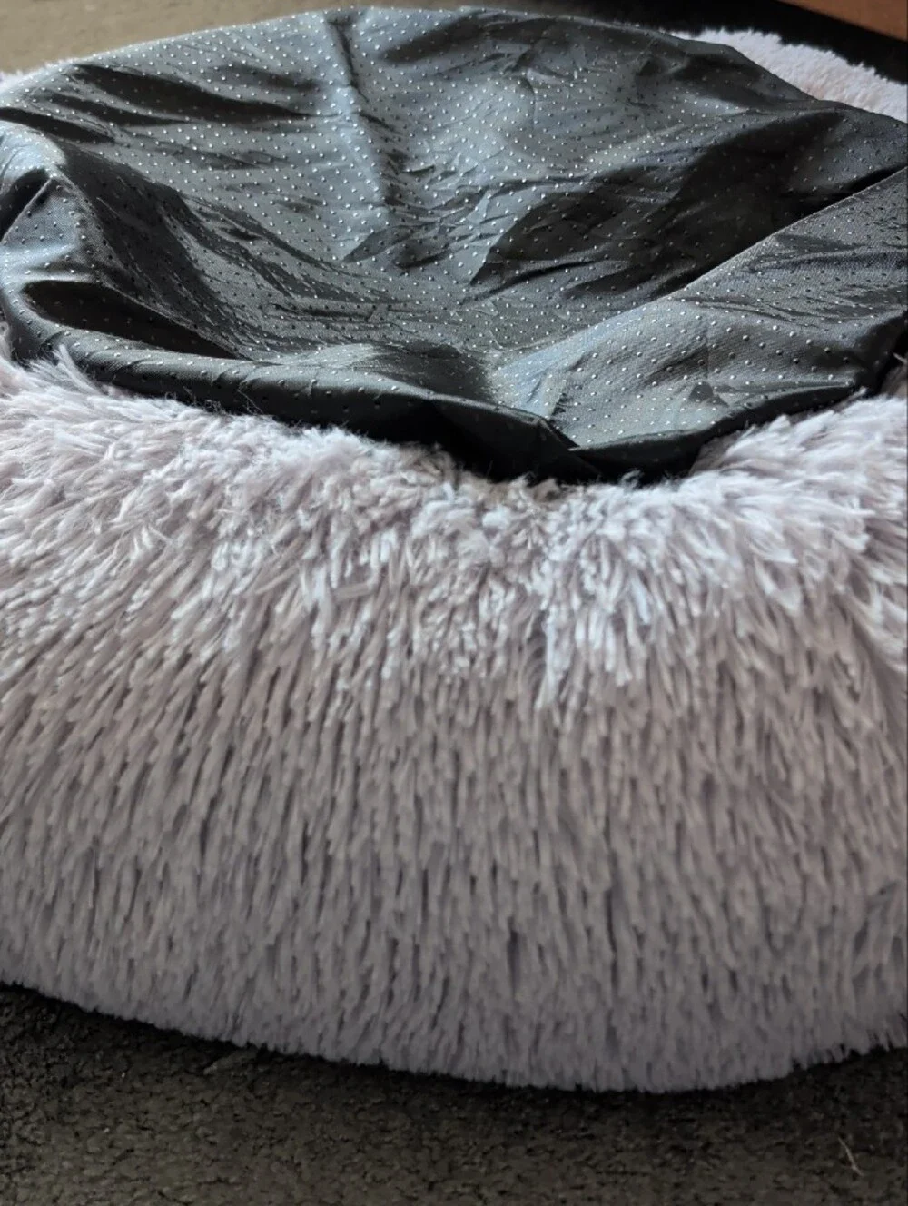 Dog Bed